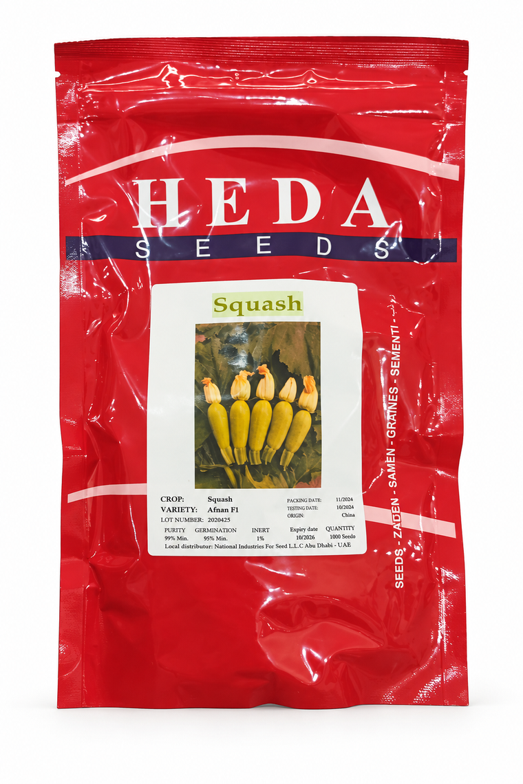 بذور كوسة أفنان F1 – 1000 بذرة | Afnan F1 Squash Seeds – 1000 Seeds