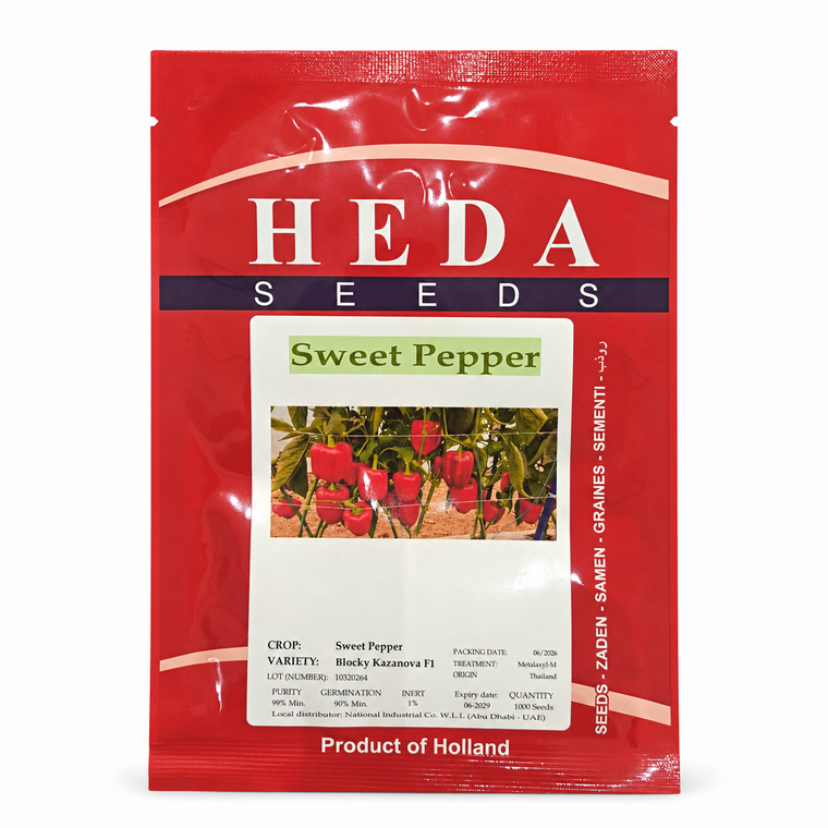 بذور فلفل حلو بلوكي كازانوفا F1 – 1000 بذرة | Blocky Kazanova F1 Sweet Pepper Seeds – 1000 Seeds