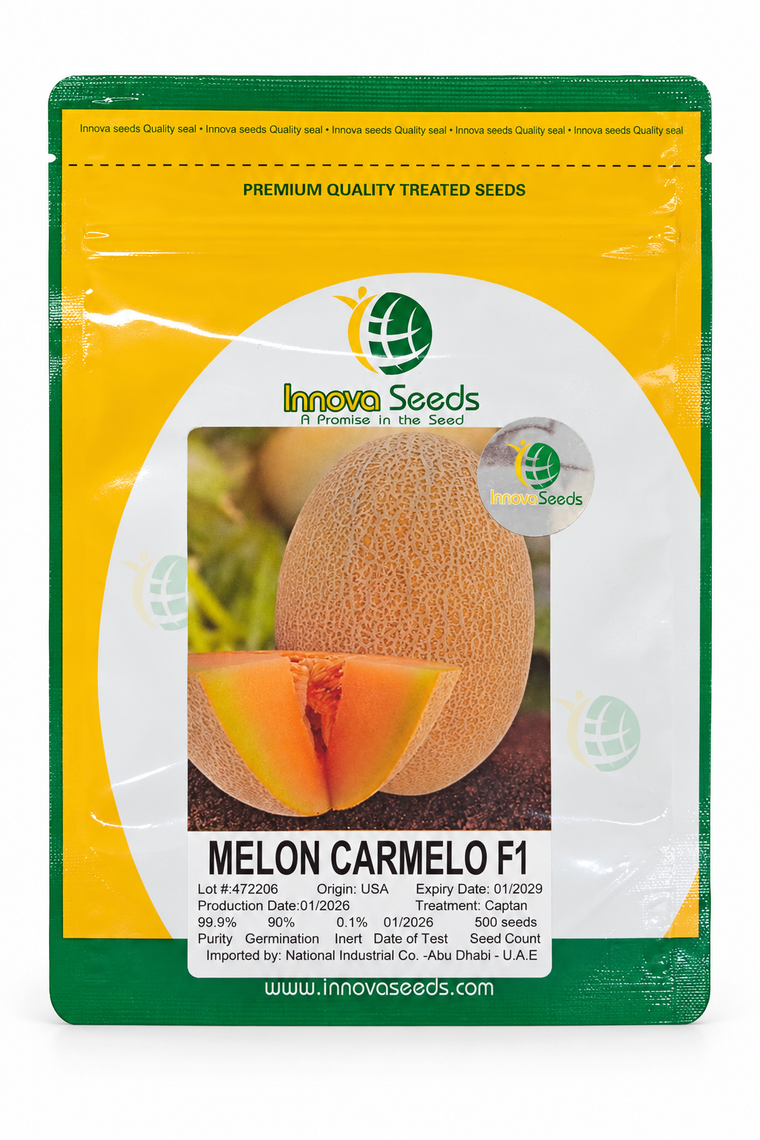 بذور شمام كارميلو F1 – 500 بذرة | Carmelo F1 Melon Seeds – 500 Seeds