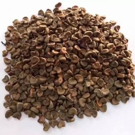 بذور كركديه مصرية 1 كجم - Egyptian Hibiscus Seeds 1kg