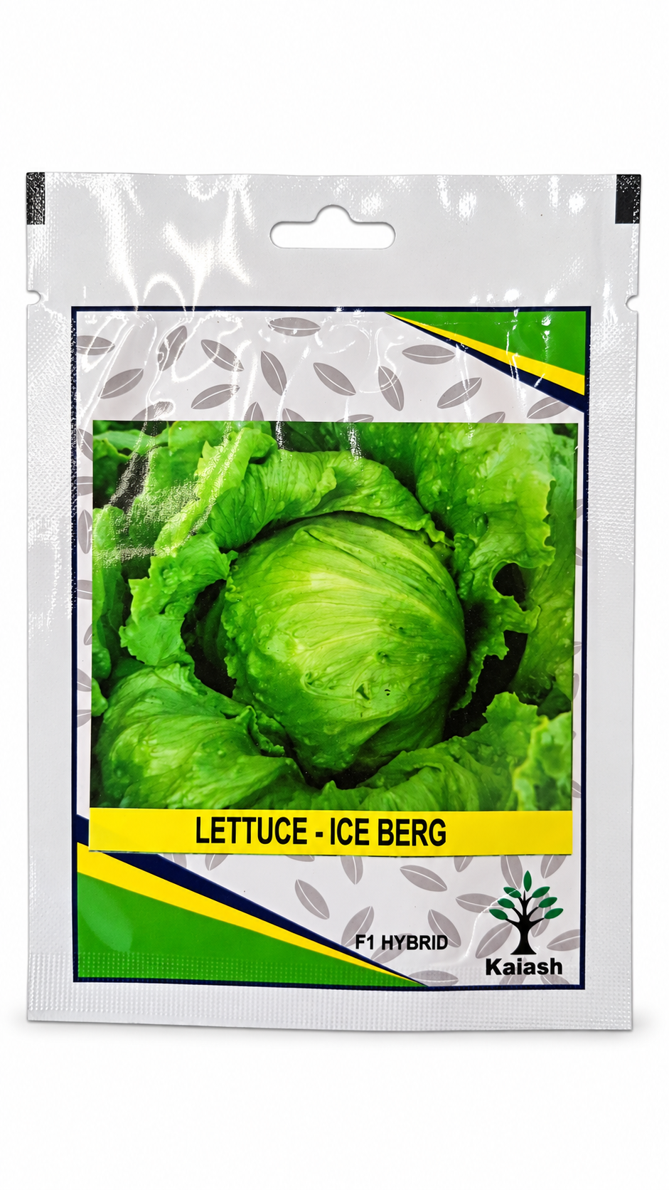 بذور خس آيسبرغ | Kalash Lettuce Iceberg Seeds on a white background
