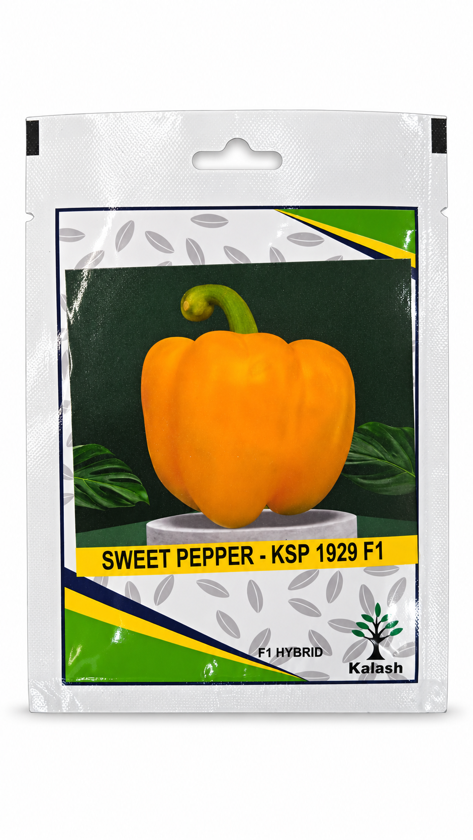 بذور فلفل حلو كالاش KSP 1929 F1 | Kalash Sweet Pepper KSP 1929 F1 Seeds on a white background