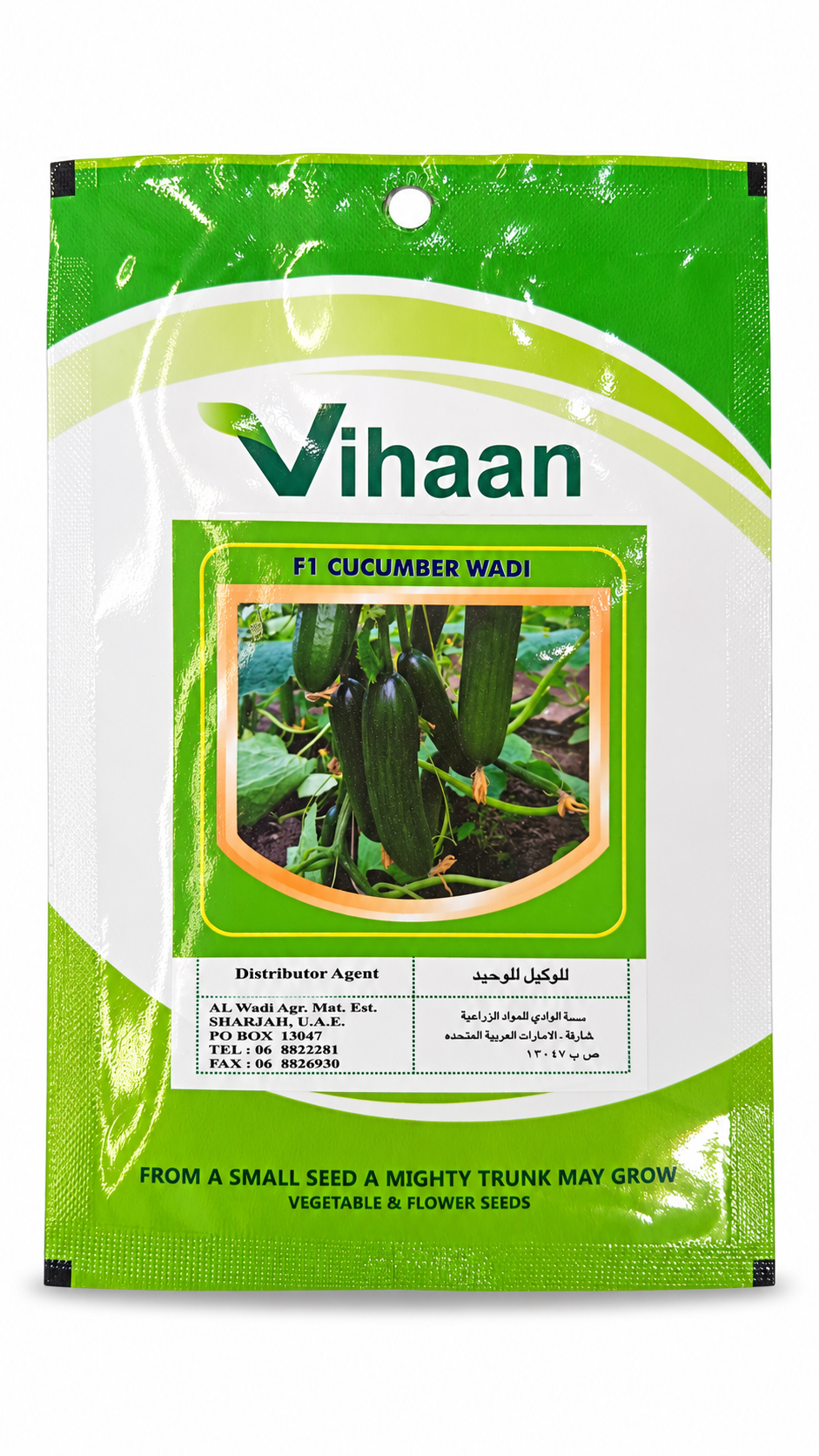 بذور خيار وادي F1 فينان | Vina'an F1 Cucumber Wadi Seeds on a white background