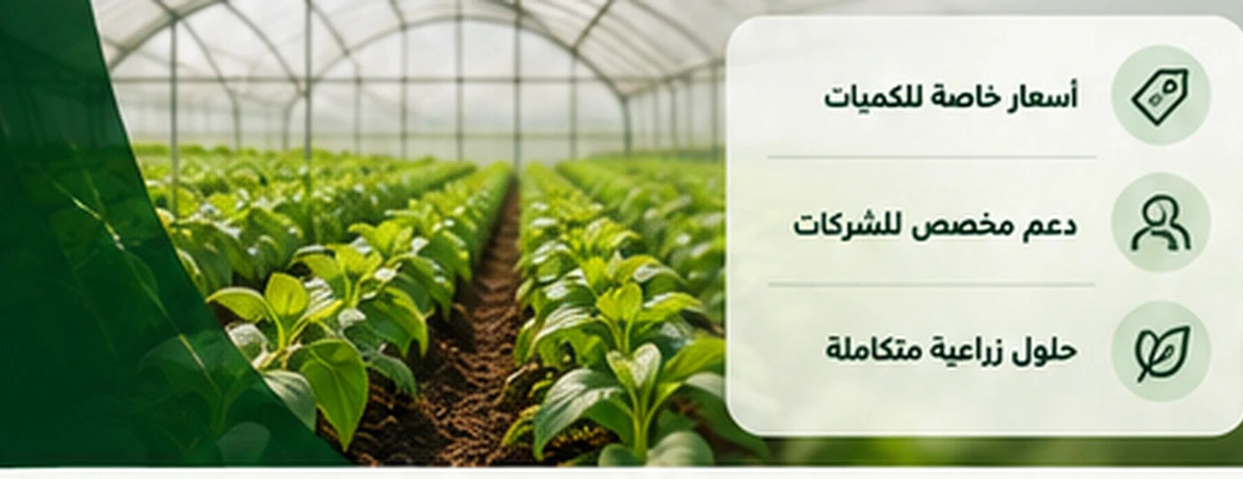 Agricultural supplies prepared for professional farm and wholesale orders in the UAE